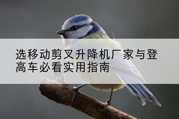 清远电动升降机厂家-选移动剪叉升降机厂家与登高车必看实用指南