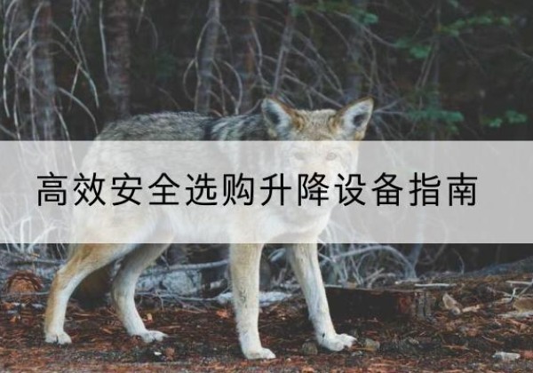 清远升降货梯厂家推荐-*安全选购升降设备指南
